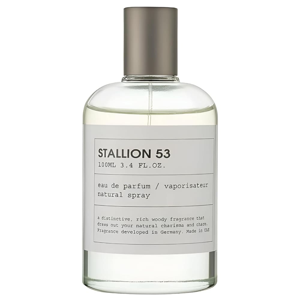 Perfume De Hombre Stallion 53 Eau De Parfum de 100Ml
